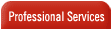 Professional Services